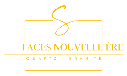 Surface Nouvelle Ere Logo